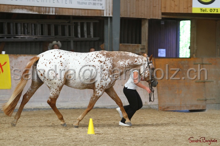 24-ApHC HIH_012.jpg